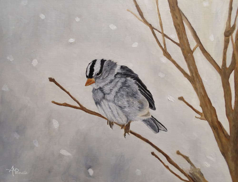 Quiet Winter Sparrow by Angeles M. Pomata — canvas wall art
