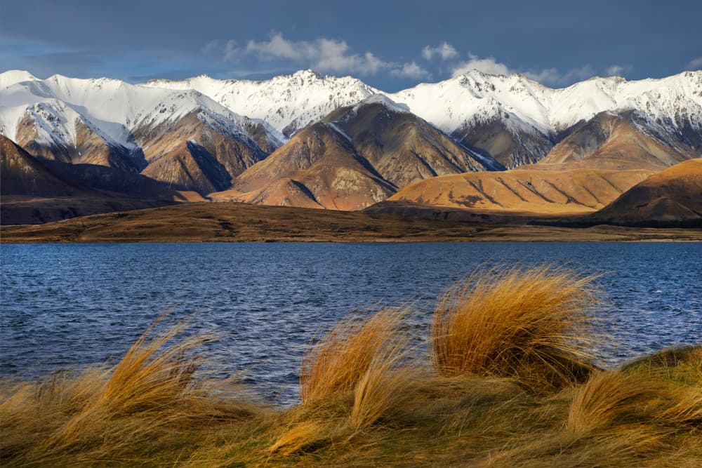 Golden Grass Mountain Lake by Dragan Keca — canvas wall art