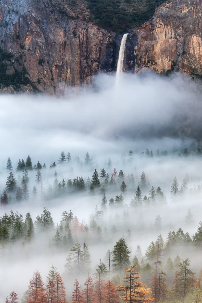 Misty Valley Waterfall by Brandon Yoshizawa — canvas wall art