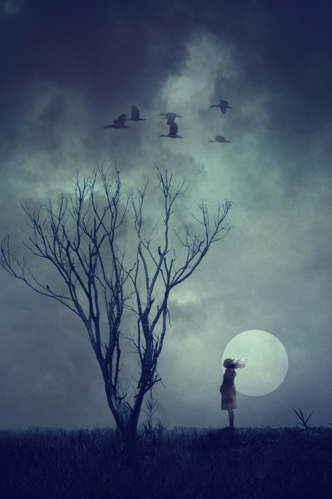 Dreamy Moonlit Night by Anuchit Sundarakiti — canvas wall art