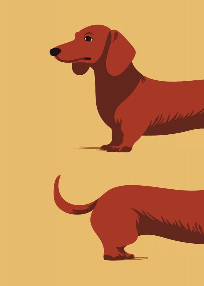 Minimalist Wiener Dog by Andreas Magnusson — canvas wall art