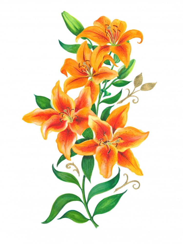 Lush Orange Lilies by Isabelle Brent — canvas wall art