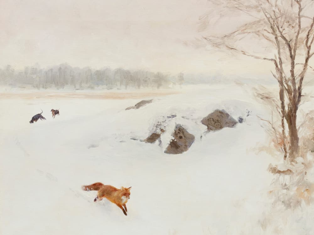 Red Fox Winter Pursuit by Jolly and Dash — canvas wall art