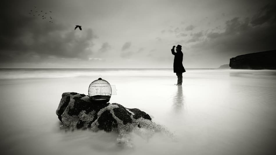 Man Releasing Bird by Paulo Dias — canvas wall art