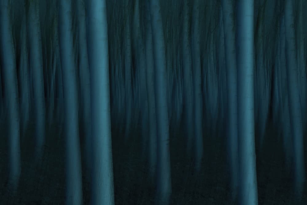 Abstract Blue Forest by Claudio Moretti — canvas wall art
