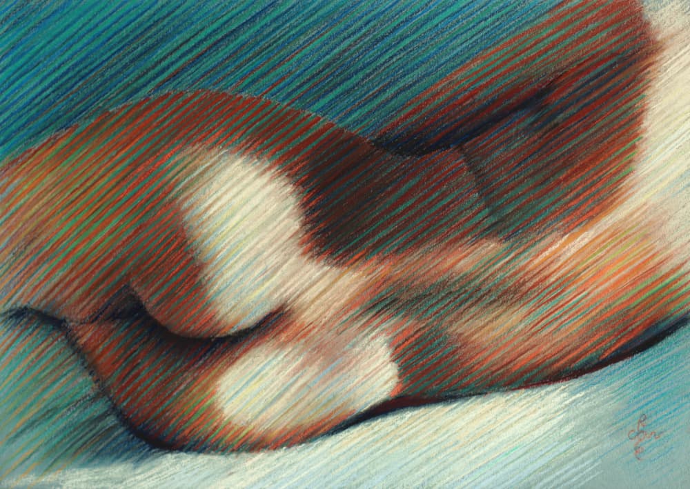 Sensual Body Curves by Corné Akkers — canvas wall art