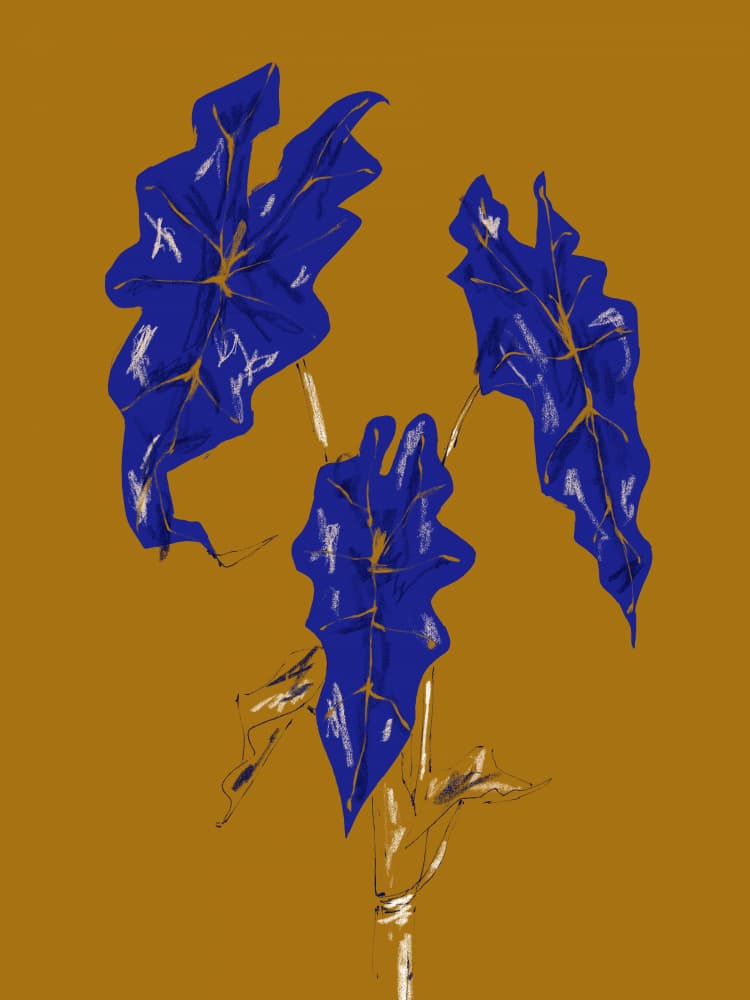 Golden Blue Leaves by Francesco Gulina — canvas wall art