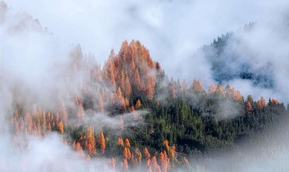 Misty Autumn Mountains by Yanny Liu — canvas wall art