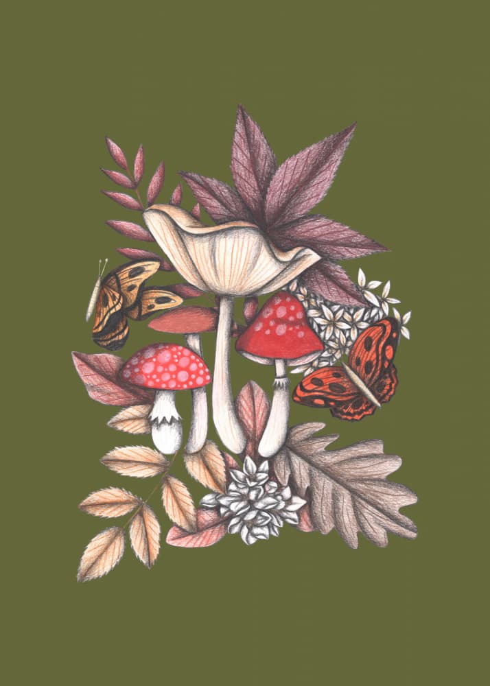 Woodland Mushroom Delights by Cecilia Battaini — canvas wall art