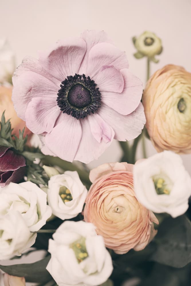 Pastel Bouquet by Kathrin Pienaar — canvas wall art