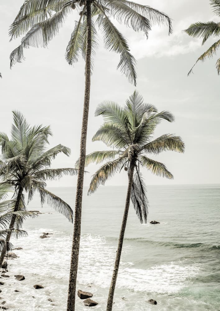 Serene Palm Coast by Shot by Clint — canvas wall art