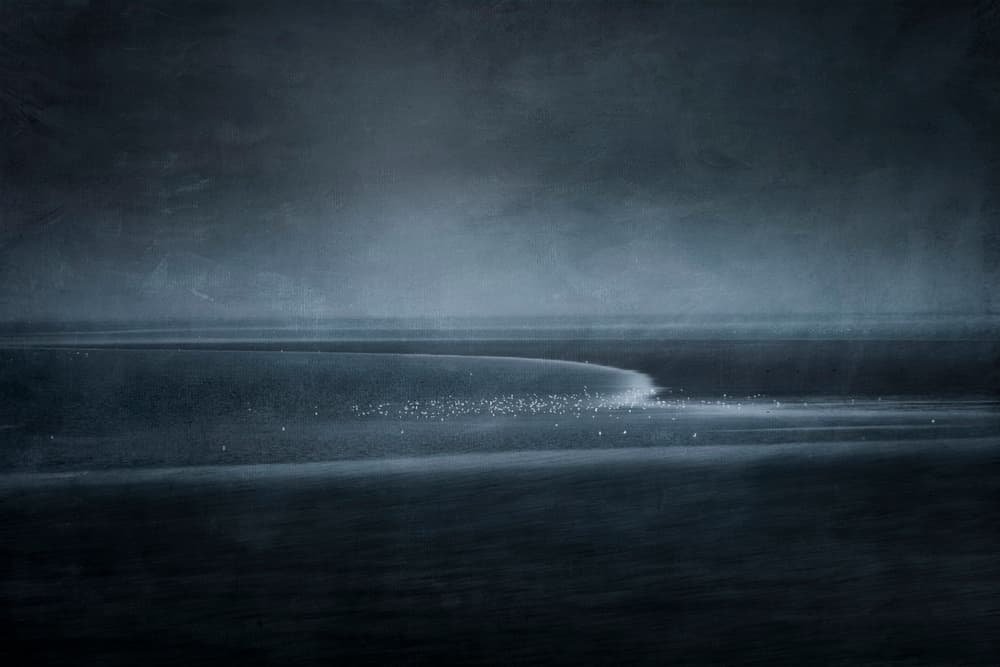 Twilight Shore Birds by Greetje van Son — canvas wall art