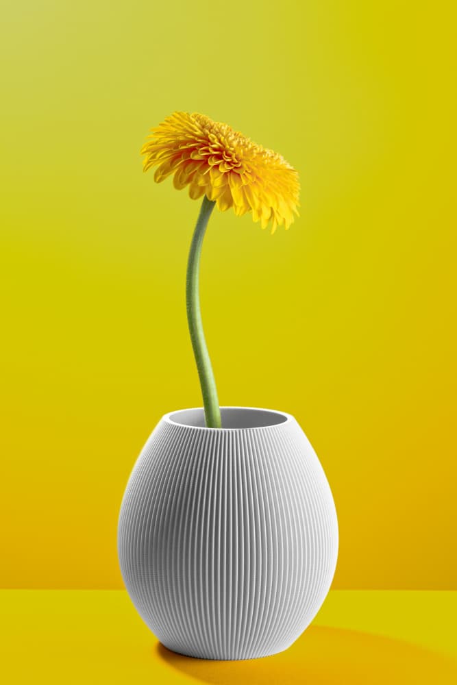 Vibrant Yellow Gerbera Vase by Frank Ulrich Gandenberger — canvas wall art