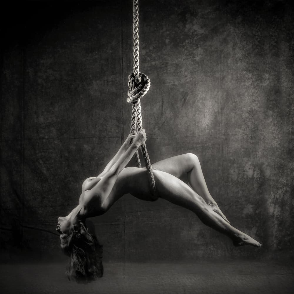 Suspended Grace by Jan Donckers — canvas wall art
