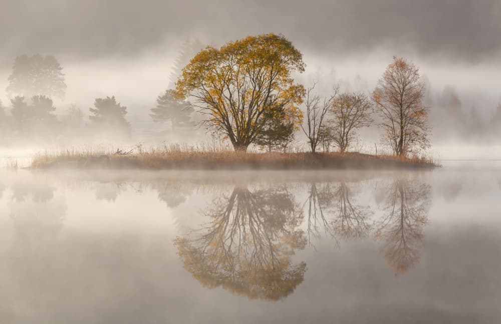 Autumn Morning Reflections by Rune Askeland — canvas wall art