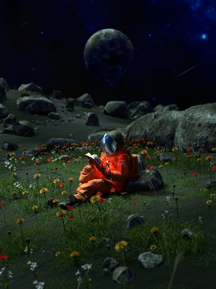 Astronaut's Alien Garden by Nicebleed — canvas wall art