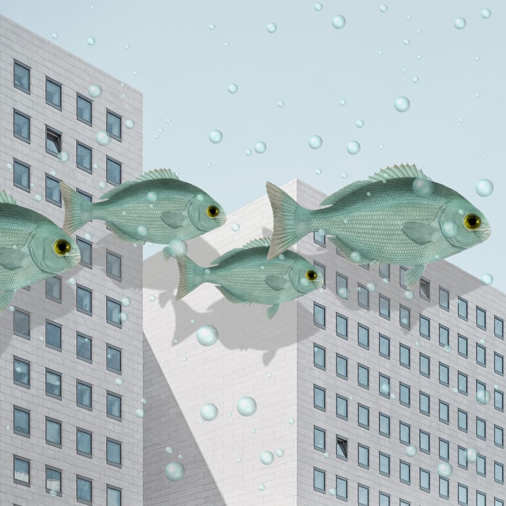 Urban Fish Dream by Marja van den Hurk — canvas wall art