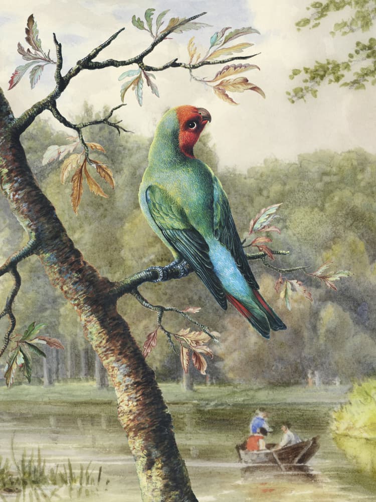 Green Parrot Lakeside Scene by Marja van den Hurk — canvas wall art