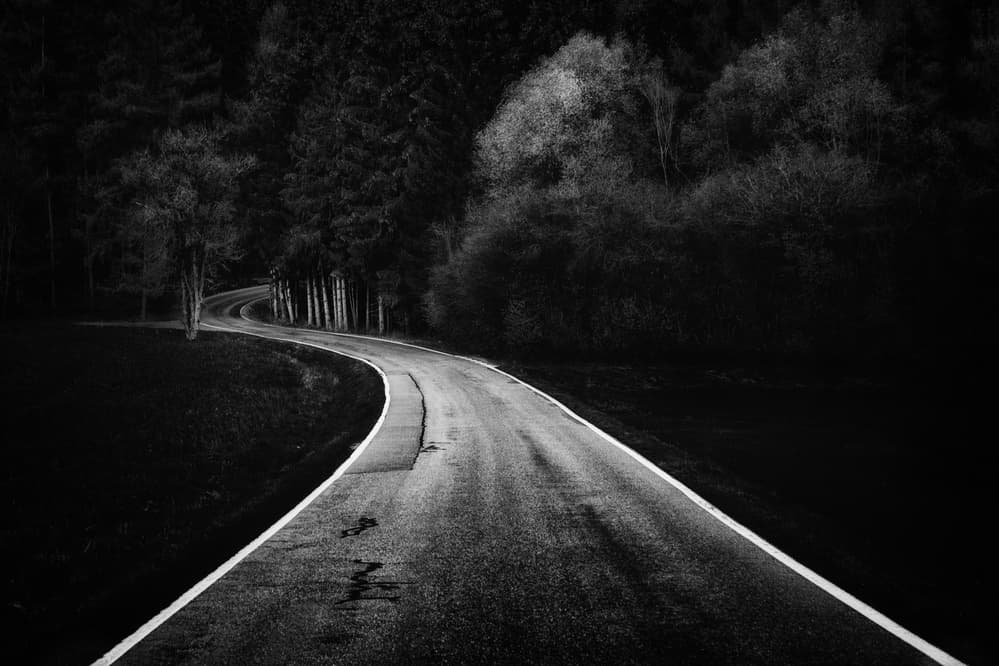 Winding Forest Road by Adam Dauria ☂ — canvas wall art