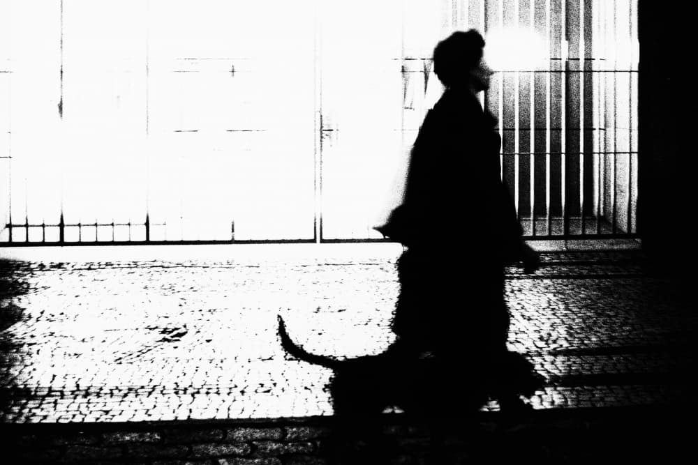 Woman Dog Silhouette Walk by Rui Correia — canvas wall art