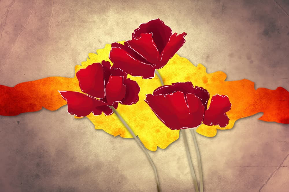 Red Poppies Warm Glow by Rafal Kulik — canvas wall art
