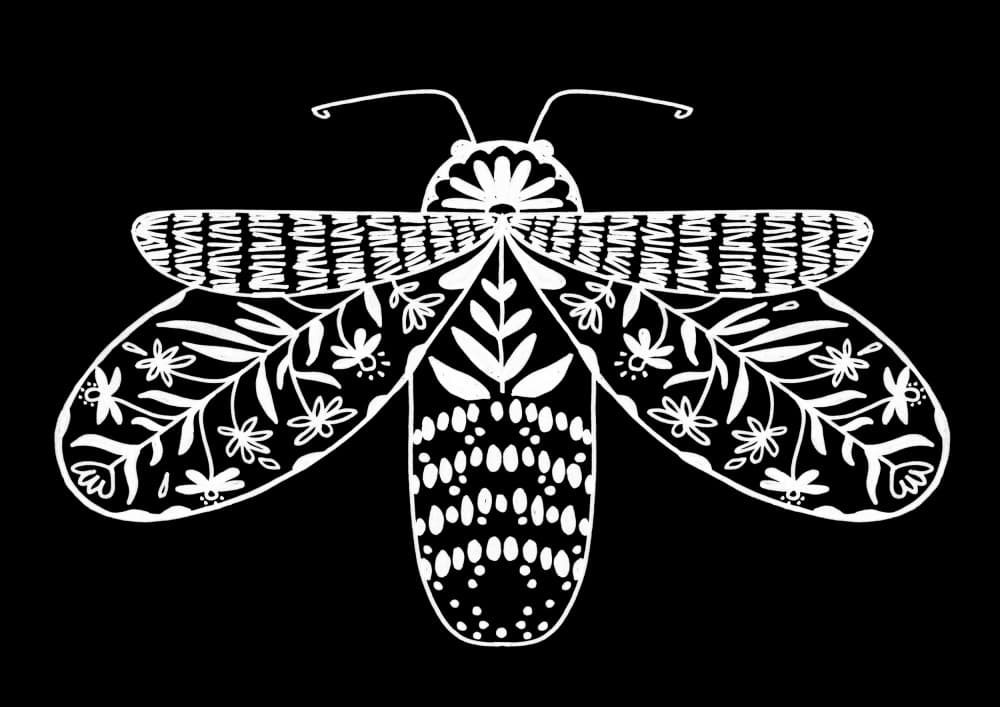 Intricate Folk Insect by Rosana Laiz Blursbyai — canvas wall art