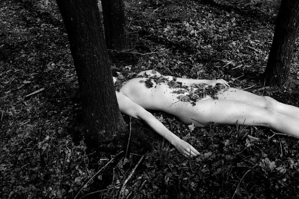 Serene Forest Nude by Marco De Waal — canvas wall art