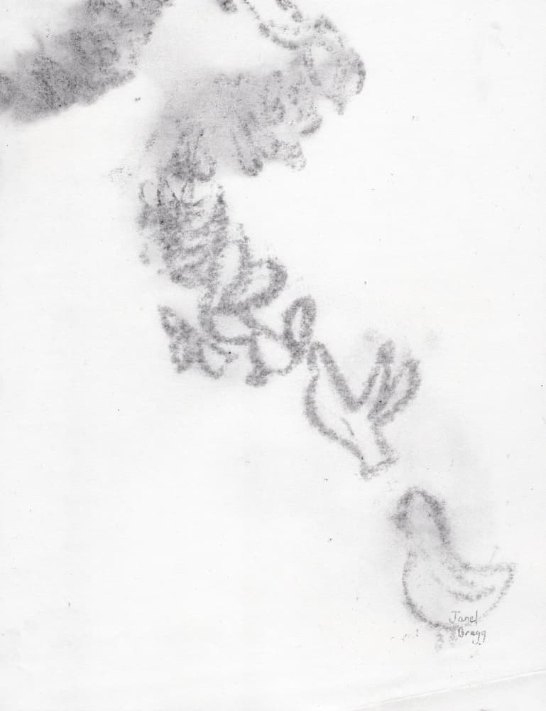 Delicate Botanical Sketch by Janel Bragg — canvas wall art