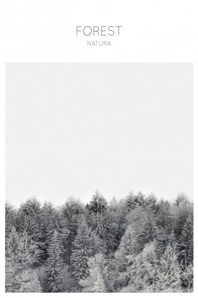 Frosted Tranquility by THE MIUUS STUDIO — canvas wall art