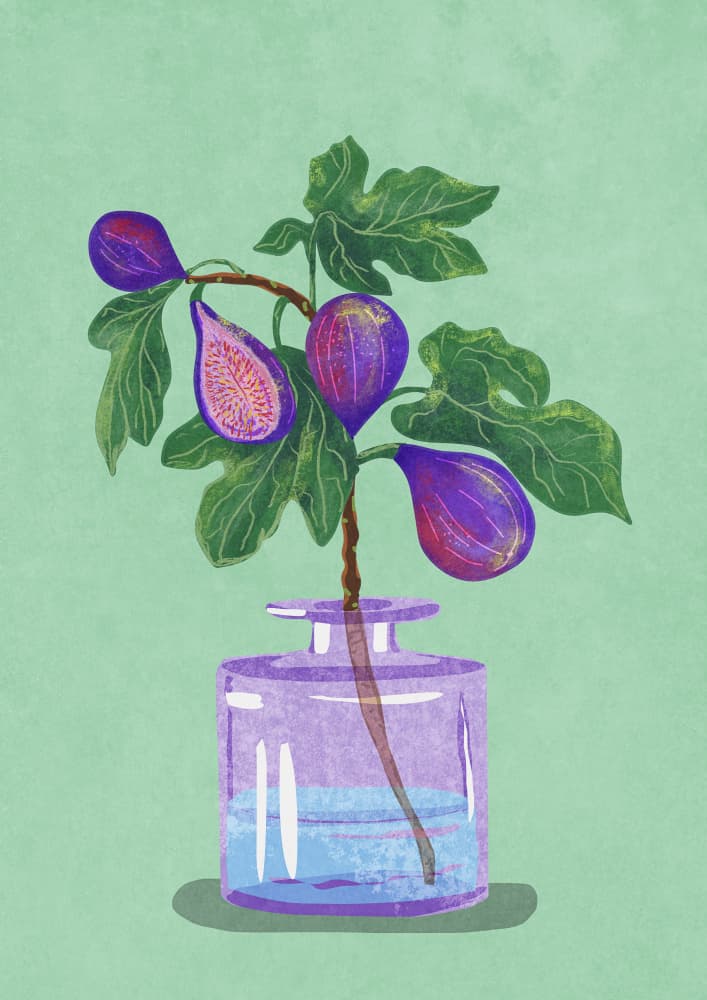 Figs Branch In Vase by Raissa Oltmanns — canvas wall art