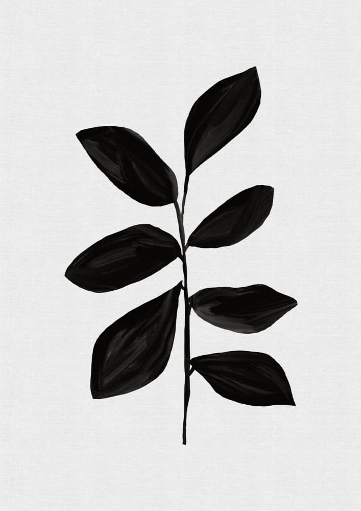 Minimalist Black Leaf by Orara Studio — canvas wall art