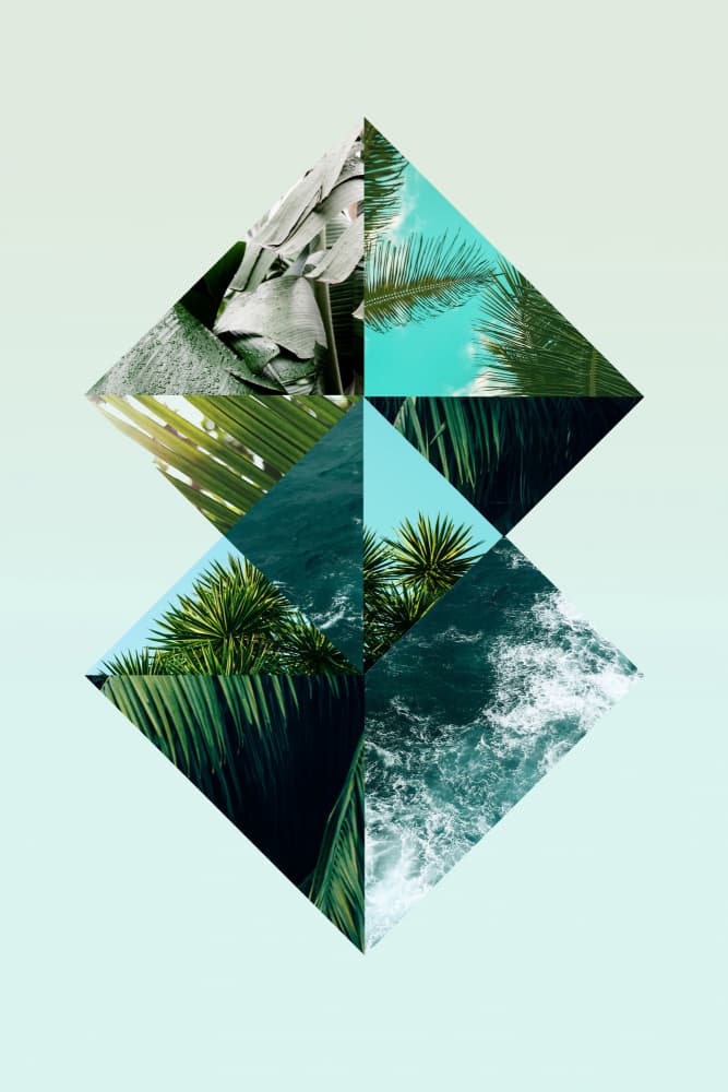 Geometric Tropics by Gemma Bardot — canvas wall art