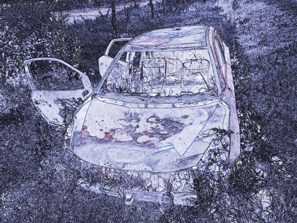 Overgrown Abandoned Car by Santhosh ch — canvas wall art