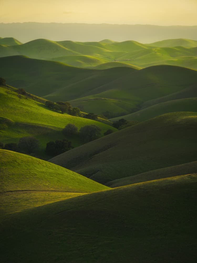 Golden Rolling Hills by Chengming — canvas wall art