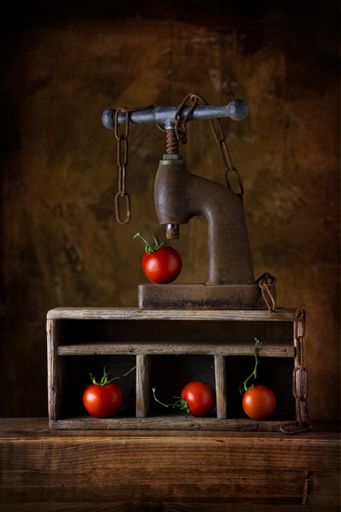 Rustic Tomato Press by Felice Angelino — canvas wall art