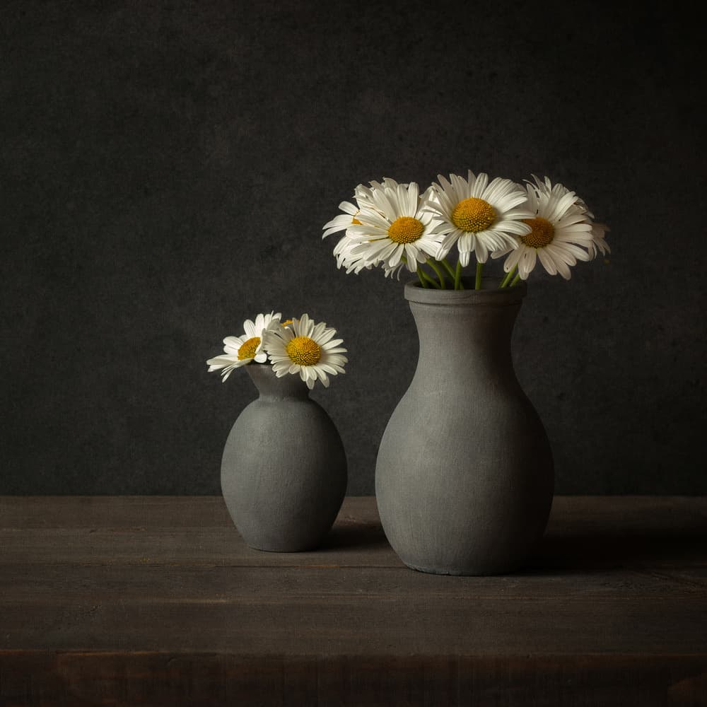 White Daisies Grey Vases by Ytje Veenstra — canvas wall art