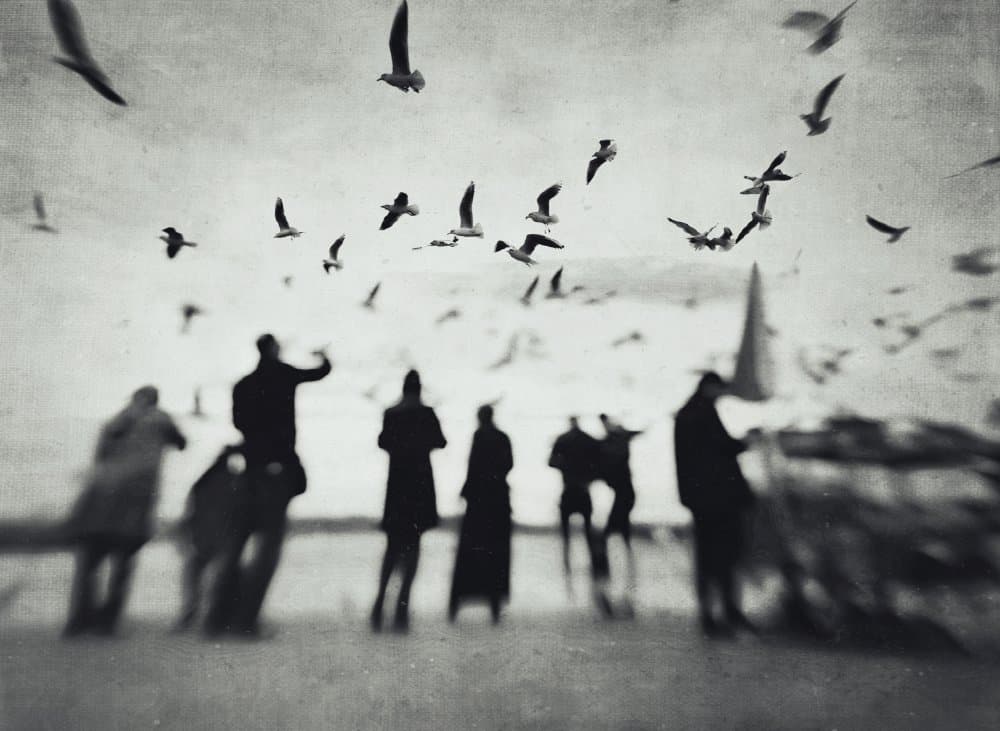 Silhouettes And Soaring Birds by Yalım Vural — canvas wall art