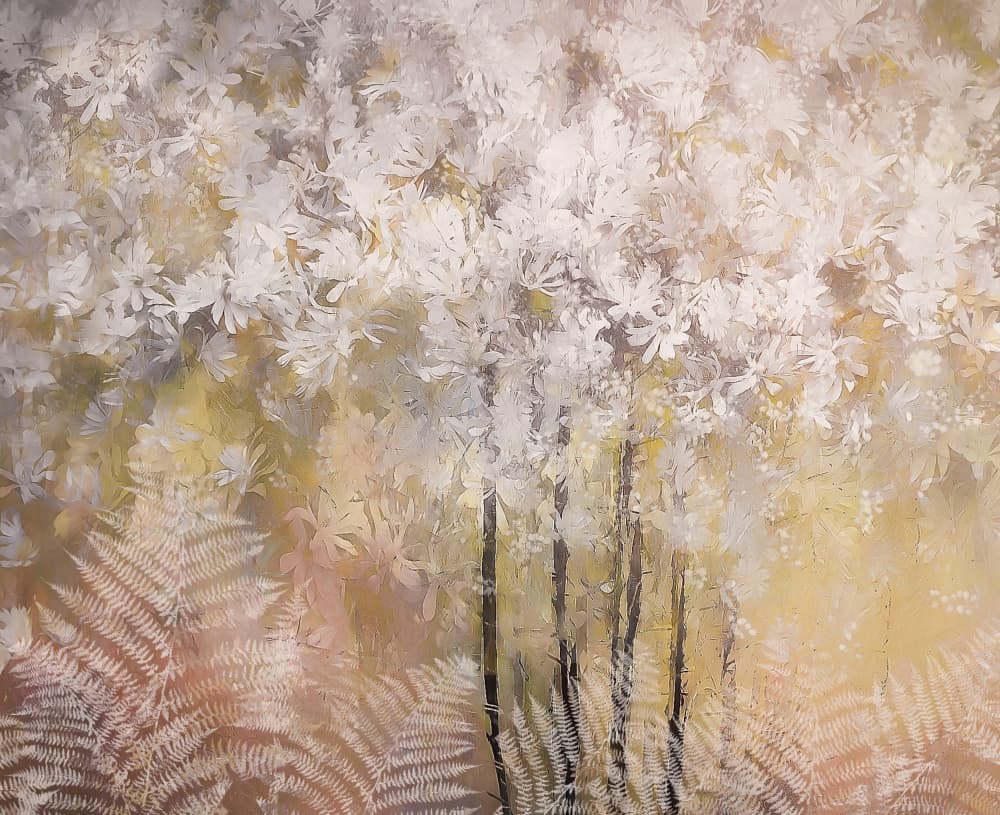 Spring feeling by Nel Talen — canvas wall art