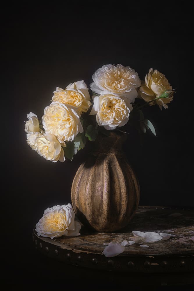 Elegant Rose Still Life by Lydia Jacobs — canvas wall art
