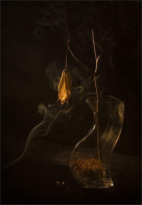 Golden Flower Smoke Vase by Ileana Bosogea-Tudor — canvas wall art