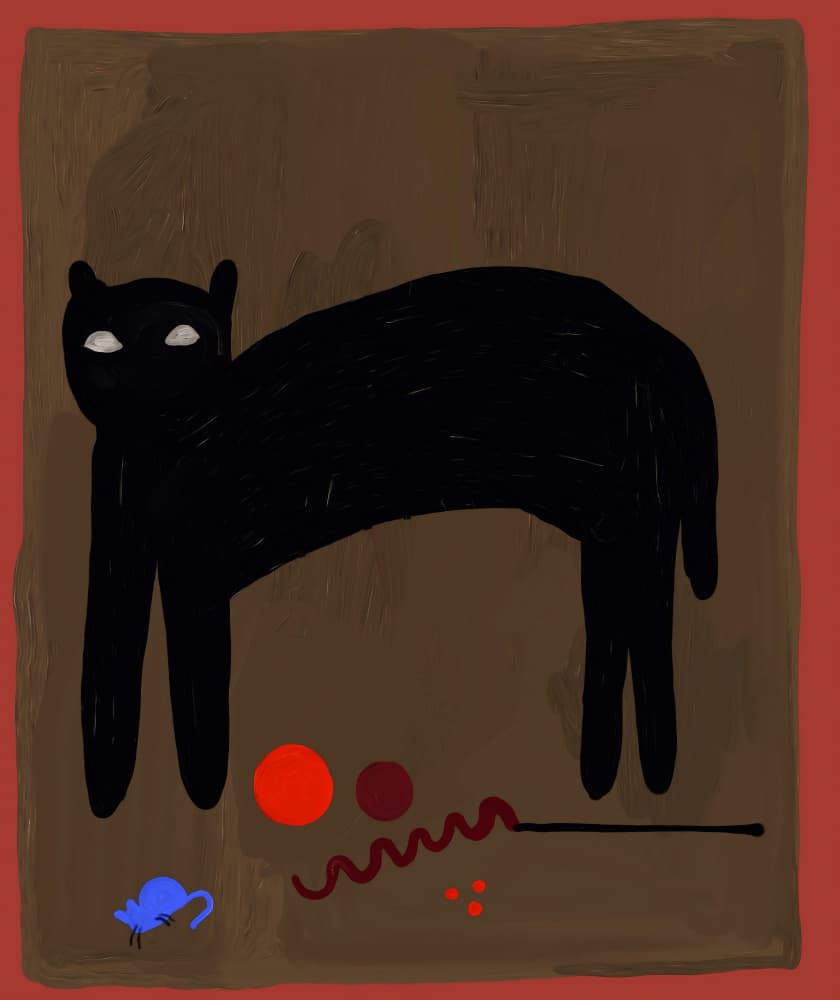 Black Cat Stares by Josie George — canvas wall art