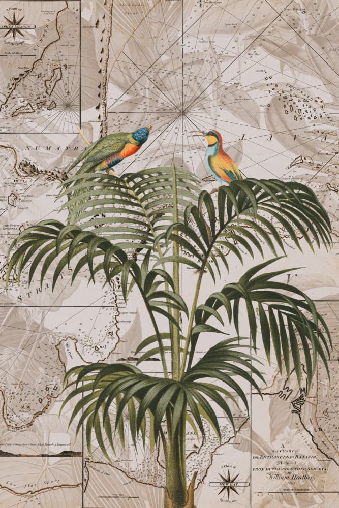 Tropical Birds Vintage Map by Andrea Haase — canvas wall art