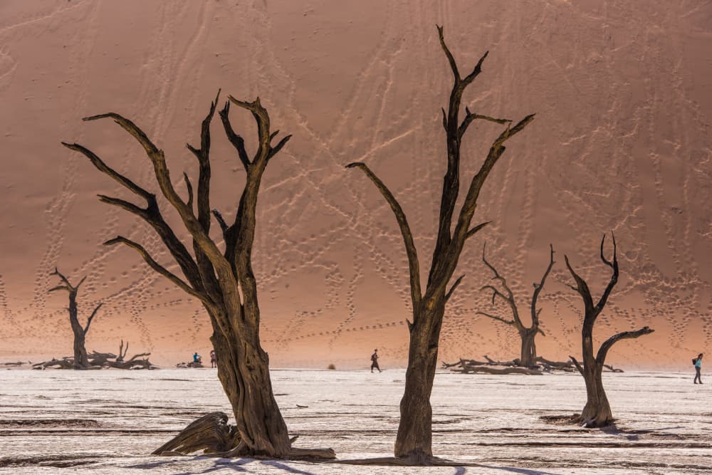 Ancient Desert Landscape by SergioSousa — canvas wall art