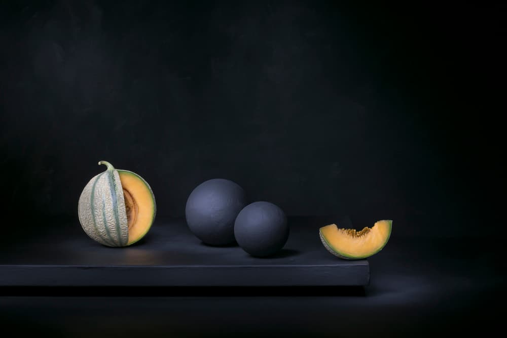Dark Melon Still Life by Christophe Verot — canvas wall art