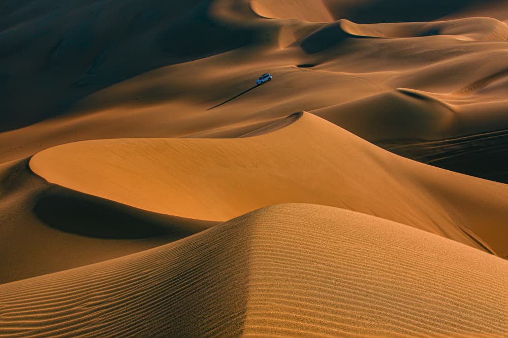 Golden Desert Drive by UU — canvas wall art