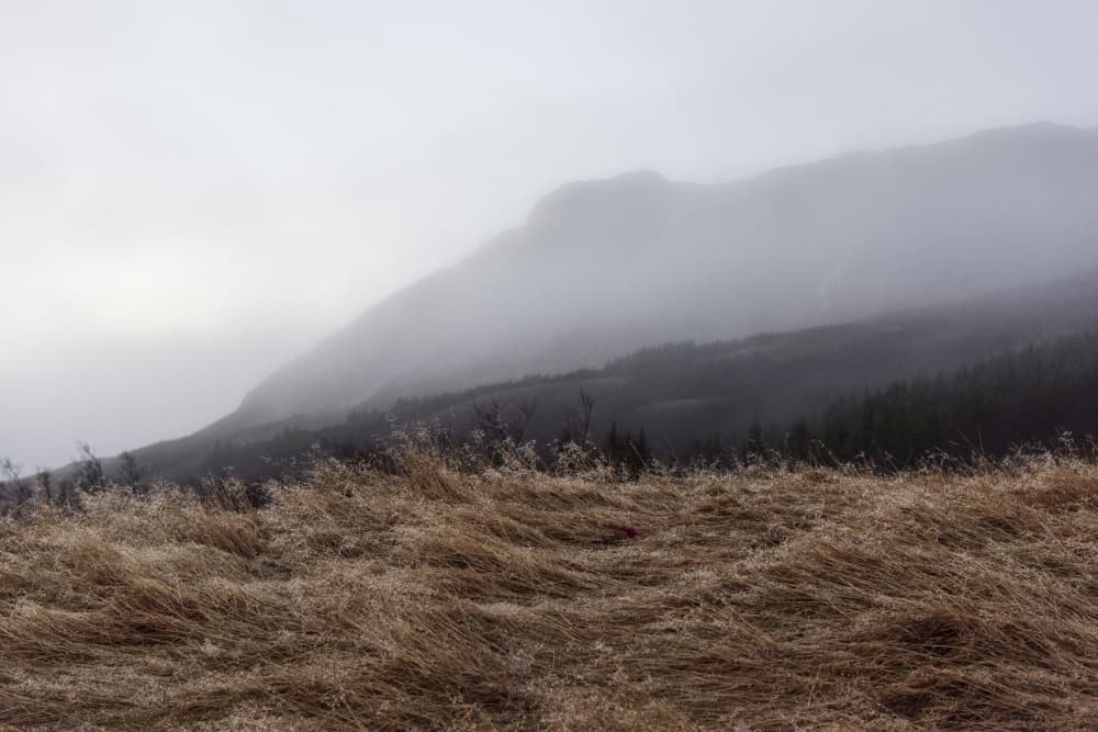 Misty Mountain Grassland by Lynann Colligan — canvas wall art
