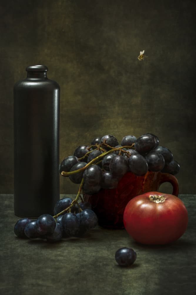 Rustic Harvest with Bee by Brig Barkow — canvas wall art