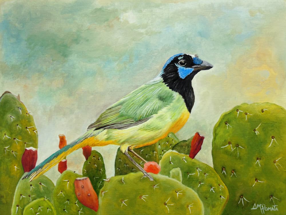Green Jay On Cactus by Angeles M. Pomata — canvas wall art