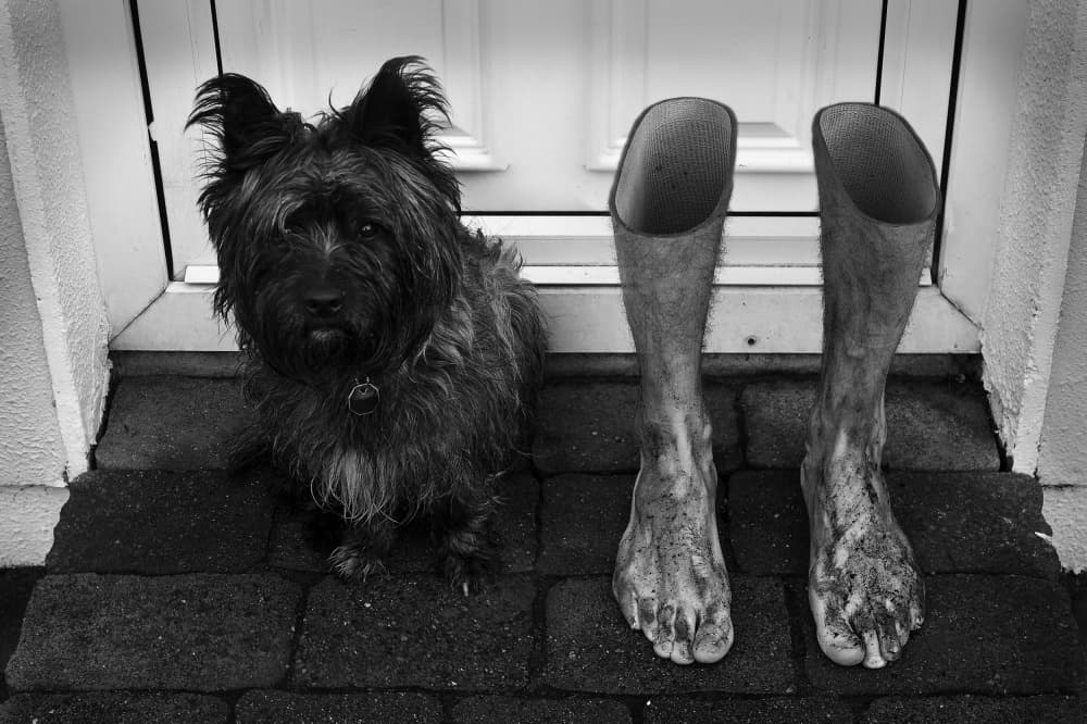 Dog And Dirty Bare Feet by Paul Gibney — canvas wall art