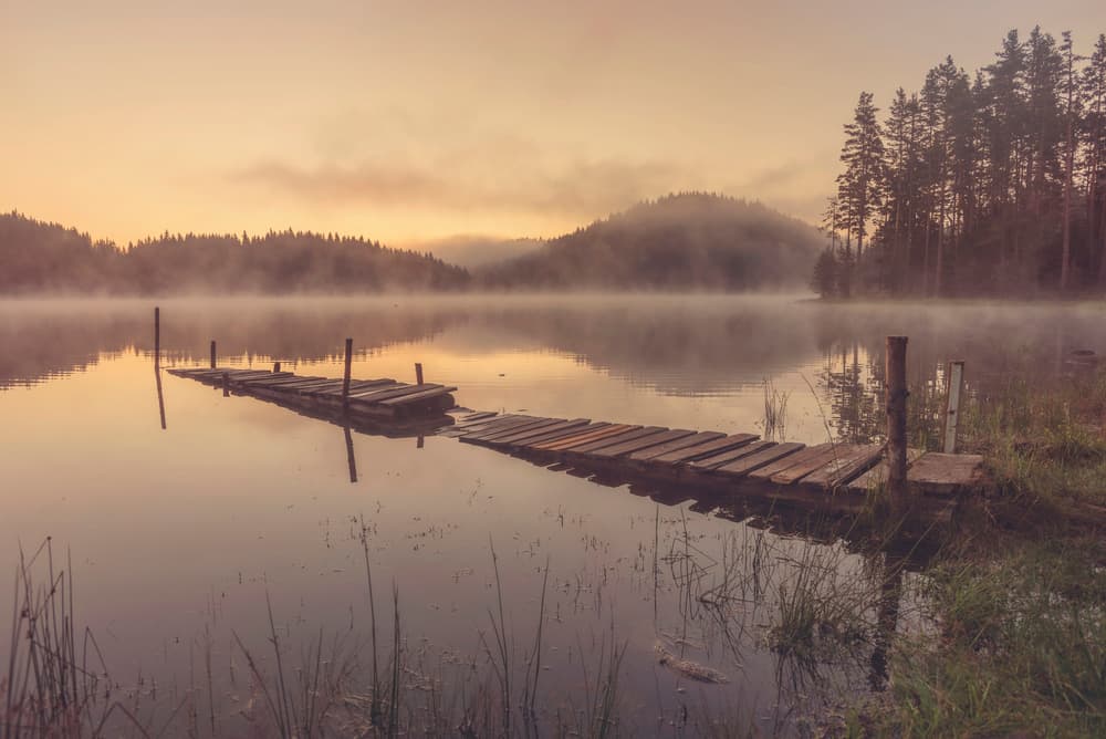 Misty Lake Pier by Zlatina Peeva — canvas wall art